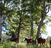 The Outlook Riding Academy - VIC Tourism