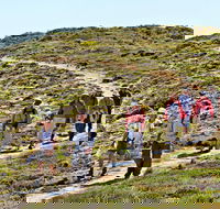 The Sole Walk at Hillocks Drive - VIC Tourism