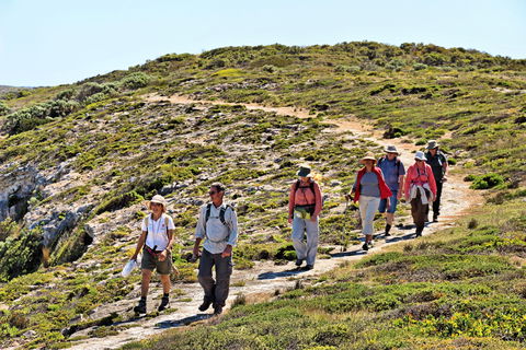 The Sole Walk At Hillocks Drive - VIC Tourism 0
