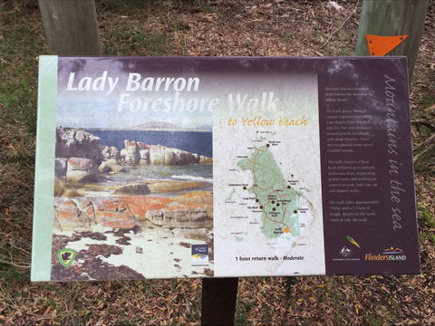 The Lady Barron Foreshore Walk - VIC Tourism 0