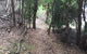 The Lady Barron Foreshore Walk - thumb 1