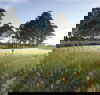 Twin Creeks Golf and Country Club - VIC Tourism