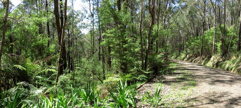Tyers Park - VIC Tourism 0