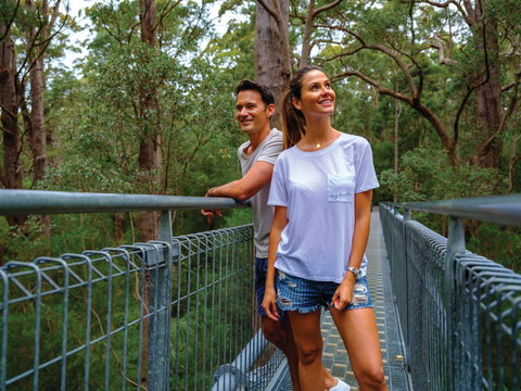 Valley Of The Giants Tree Top Walk - VIC Tourism 0