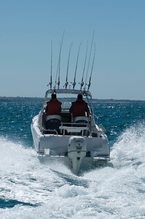 Western Port - VIC Tourism 1