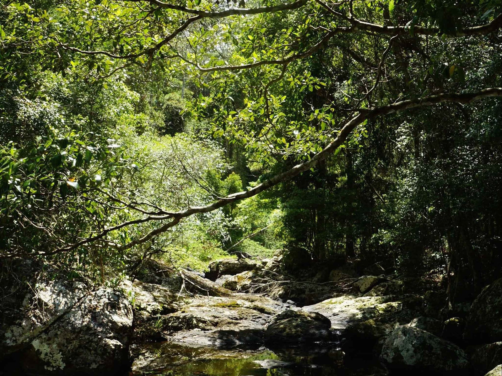 Witta QLD VIC Tourism