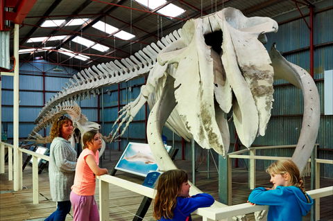 Albany's Historic Whaling Station - VIC Tourism 2