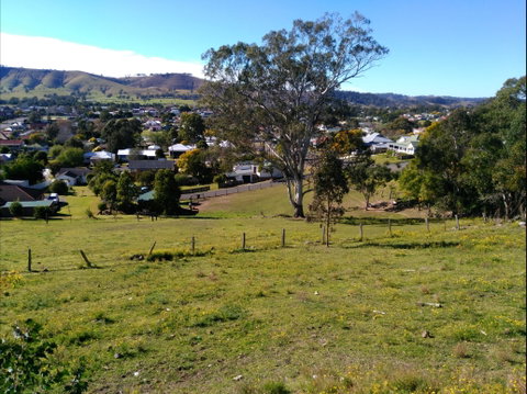 Apex Lookout Dungog - VIC Tourism 1