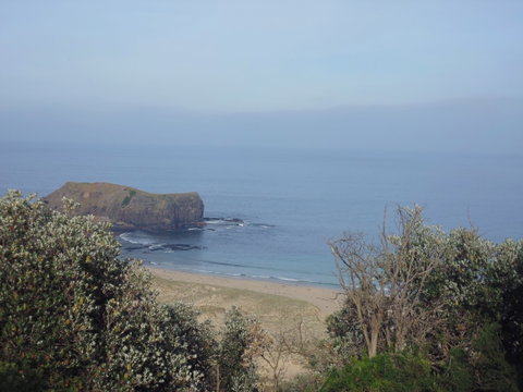Bushrangers Bay - VIC Tourism 0