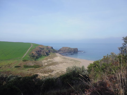 Bushrangers Bay - VIC Tourism 1