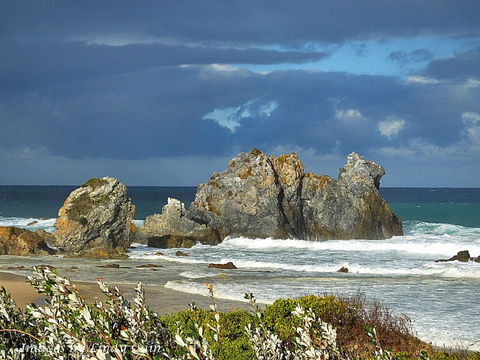 Camel Rock - VIC Tourism 2