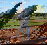 Cobar Miners Heritage Park - VIC Tourism