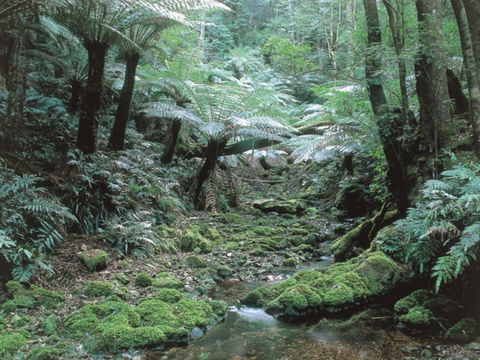 Corn Trail - VIC Tourism 0