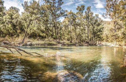 Flea Creek Picnic Area - VIC Tourism 0