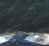 Gardners Falls - VIC Tourism
