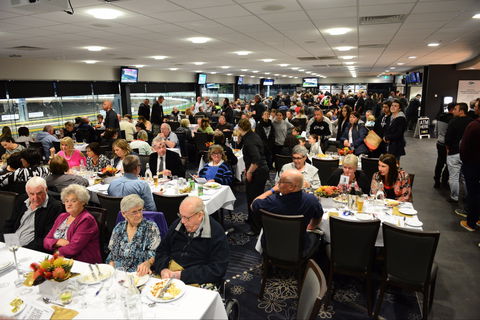 Geelong Greyhound Racing Club - The Beckley Centre - VIC Tourism 1
