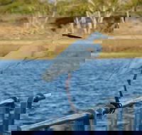 Groper Creek - VIC Tourism