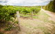 Grove Estate Wines - thumb 0