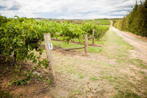 Grove Estate Wines - VIC Tourism 0