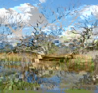 Lagoon Creek - VIC Tourism