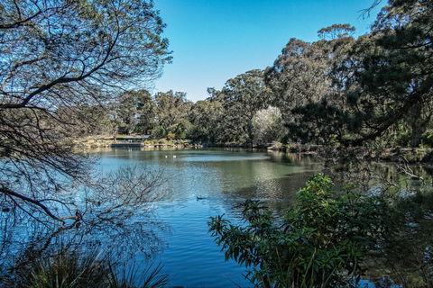 Lake Alexandra Reserve - VIC Tourism 1