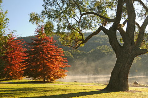 Lake Alexandra Reserve - VIC Tourism 2
