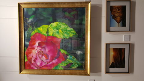 Macleay Valley Community Art Gallery - VIC Tourism 0