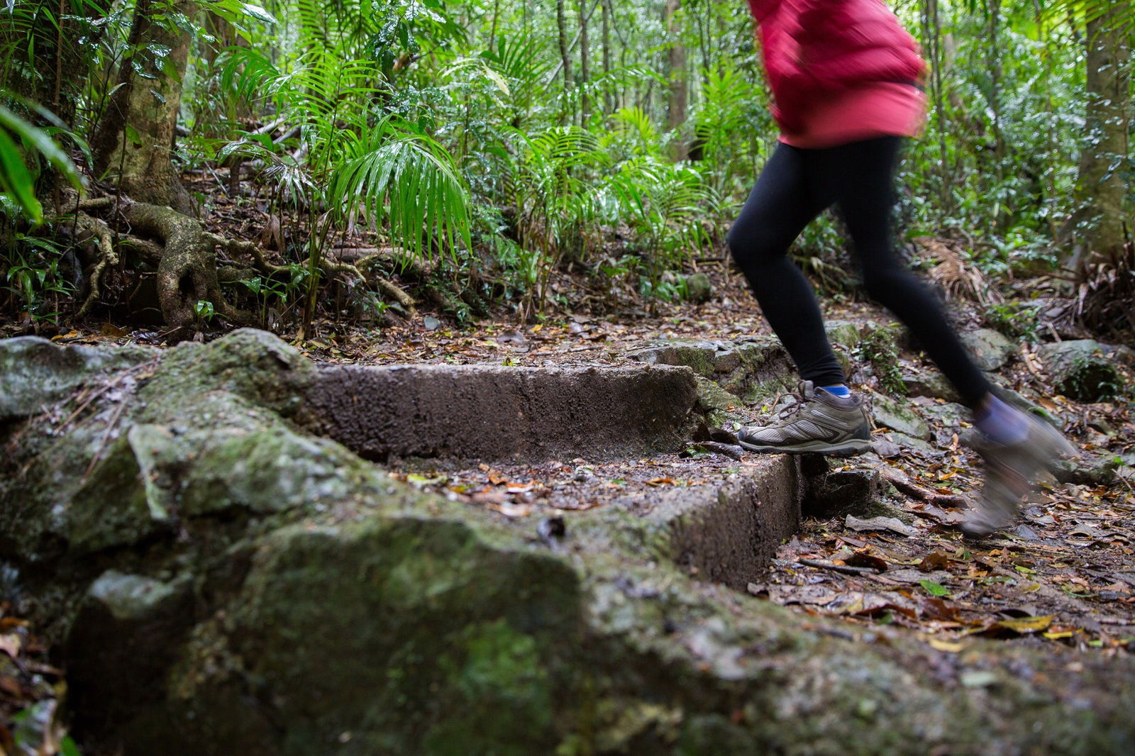 Mount Glorious QLD VIC Tourism