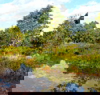 Mansfield Mullum Wetlands - VIC Tourism