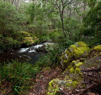 Mongarlowe River picnic area - VIC Tourism