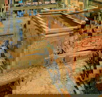 Mountain Maid gold mine - VIC Tourism