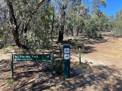 Mt Everard Circuit - VIC Tourism 1