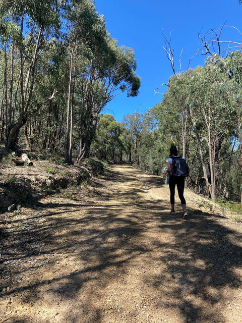 Mt Everard Circuit - VIC Tourism 2