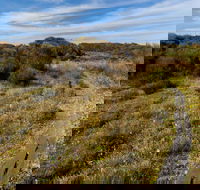 Murramarang Aboriginal Area Walking Track - VIC Tourism