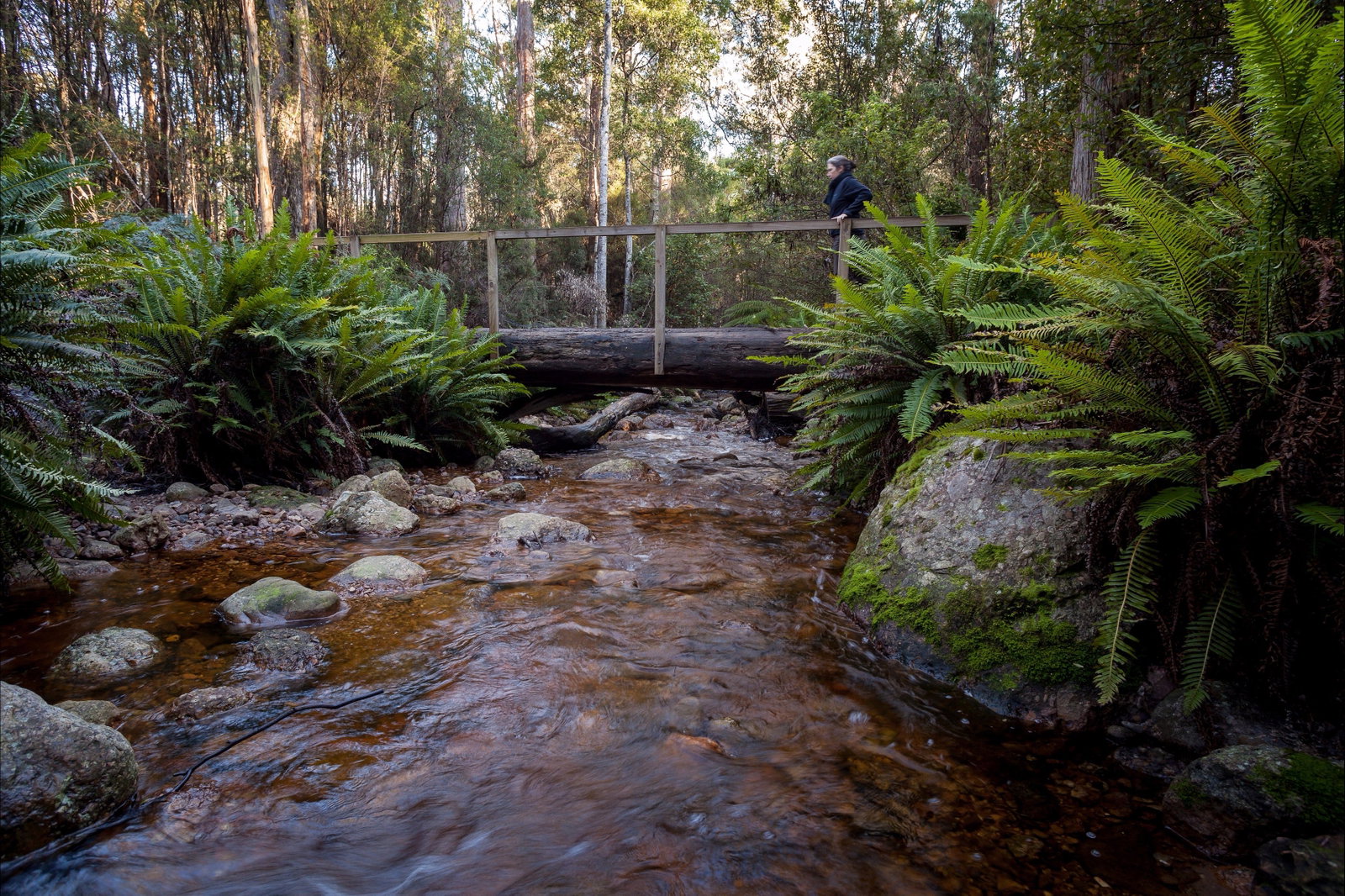 Gowrie Park TAS VIC Tourism
