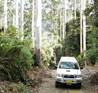 Orara Escarpment 4WD Touring Route - VIC Tourism