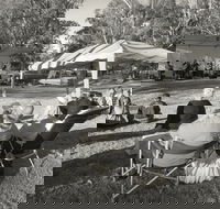 Pioneer Park - VIC Tourism
