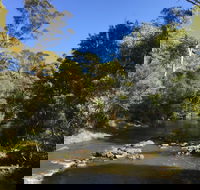Pipers River Board Walk - VIC Tourism