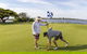 Queenscliff Golf Club - thumb 1