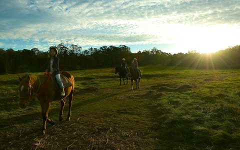 Scenic NSW Horse Riding Centre - VIC Tourism 0