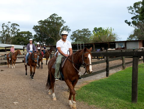 Scenic NSW Horse Riding Centre - VIC Tourism 1
