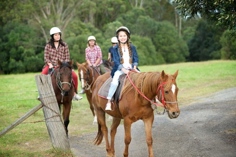 Scenic NSW Horse Riding Centre - VIC Tourism 2