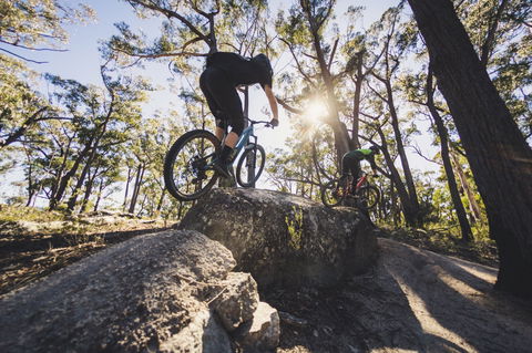 St Helens Mountain Bike Trails - VIC Tourism 1