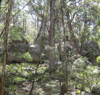Tallaganda National Park - VIC Tourism