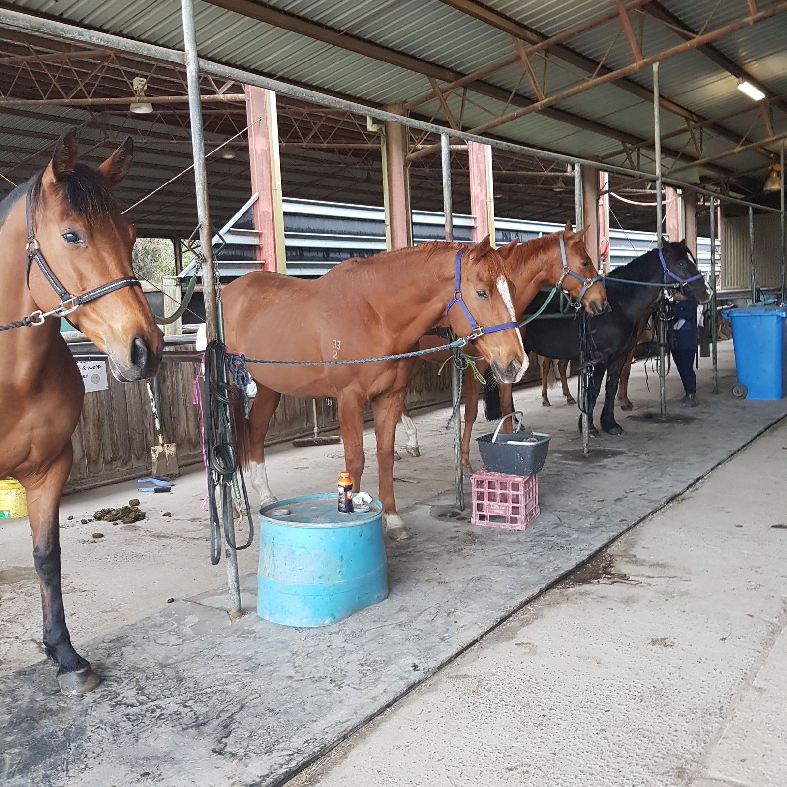 Cranbourne South VIC VIC Tourism