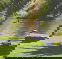 The Lions Junction Park - Tumut - VIC Tourism