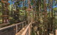 TreeTops Sydney The Hills - thumb 0