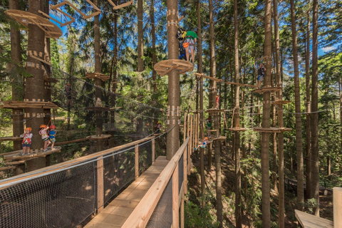 TreeTops Sydney The Hills - VIC Tourism 0