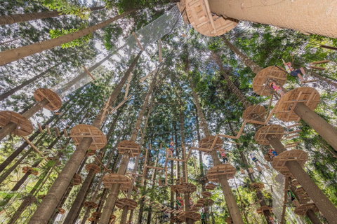 TreeTops Sydney The Hills - VIC Tourism 1