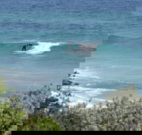 Trigg Island Beach - VIC Tourism